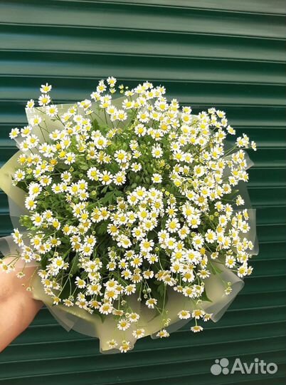 Букет из матрикарии