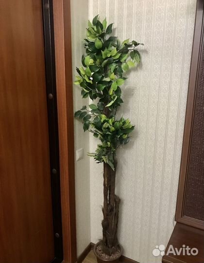 Искусственная пальма