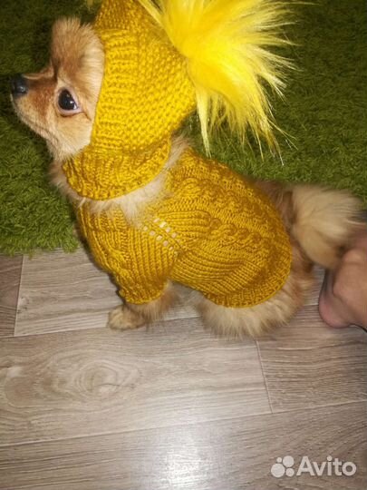 Жилетка для животных