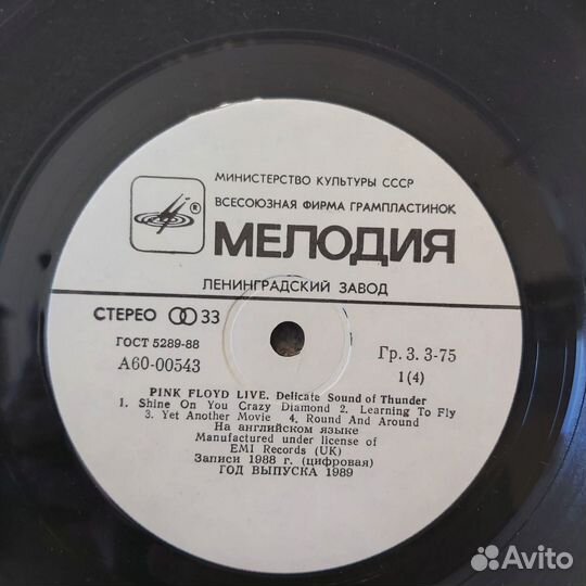 Pink Floyd - Delicate Sound Of Tunder 2 LP