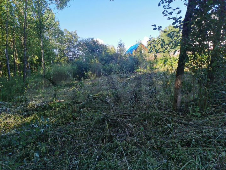 Участок 10 сот. (ИЖС)