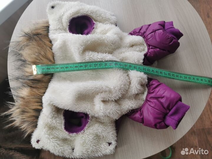 Одежда для собак мелких пород