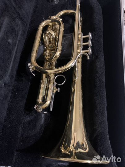 Cornet Bach CR300