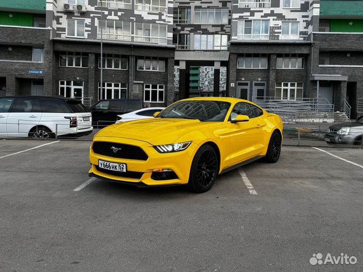 Аренда авто - Ford Mustang, без водителя