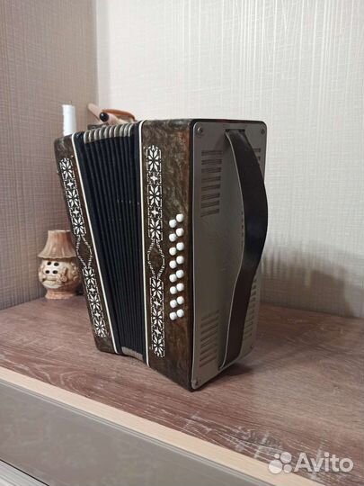 Аккордеон Малыш