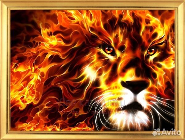 Картина по номерам 20x30 Лев с гривой из