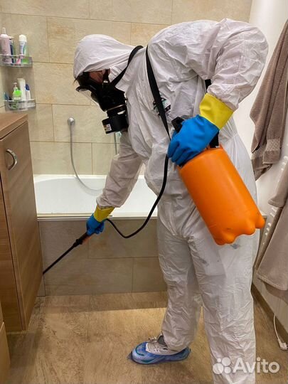 Обработка от клещей Уничтожение клопов Дезинфекция