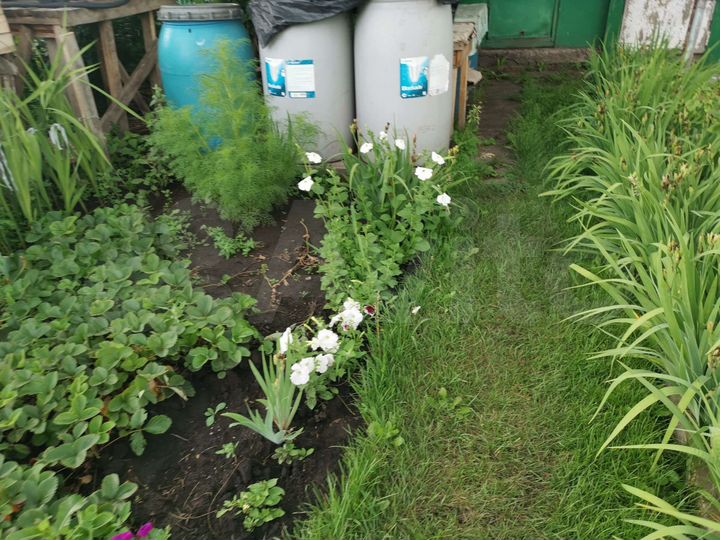 Дача 16 м² на участке 5 сот.