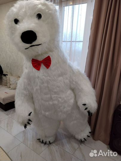 Поздравление ростовой Белый мишка Тедди медведь