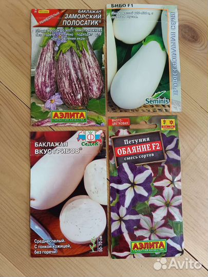 Гибискус персиковый, Тунбергия, Горшки