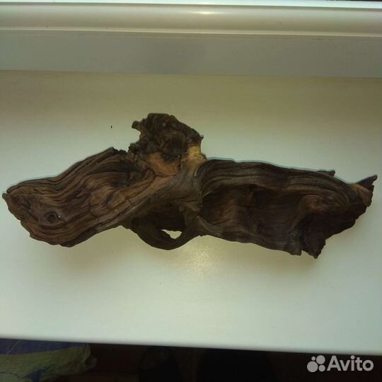 Коряга мангровая для аквариума