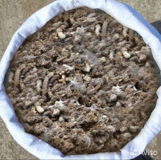 Навоз голубиный