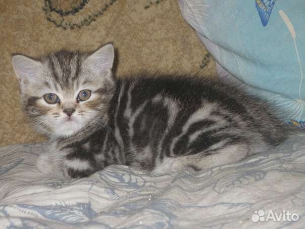 Мраморные плюшечки