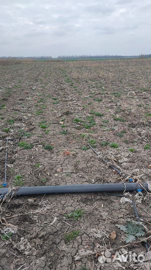 Сдам в аренду землю сельхоз назначения