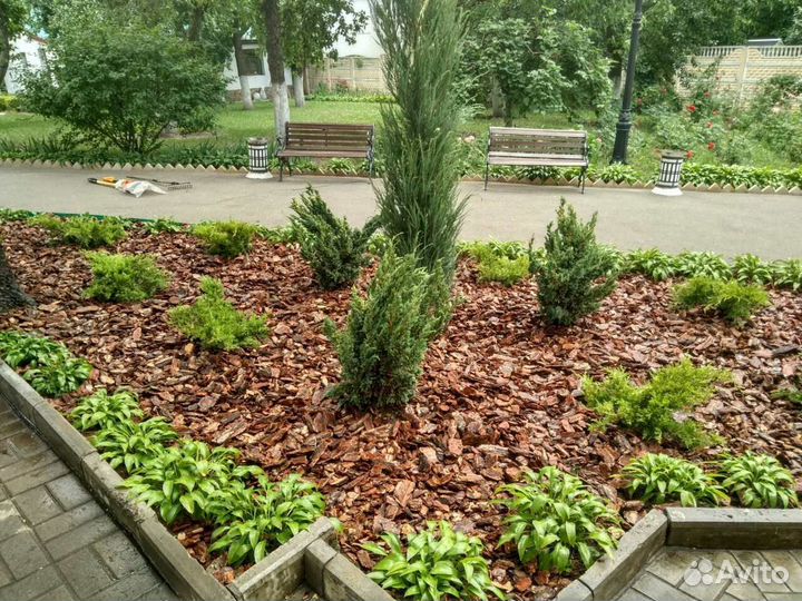 Кора лиственницы для мульчи