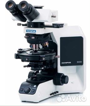 Бинокулярный микроскоп