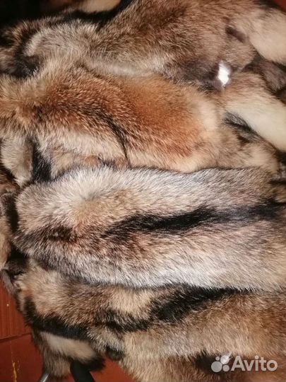 Шкуры мех енот