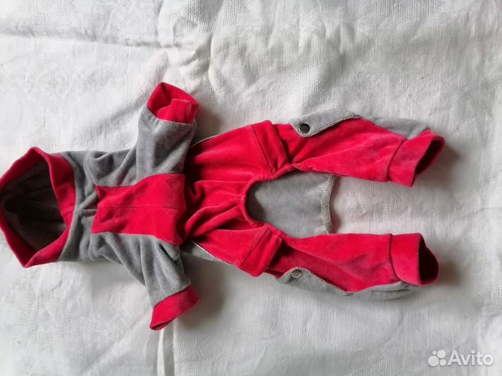 Одежда для собак мелких пород