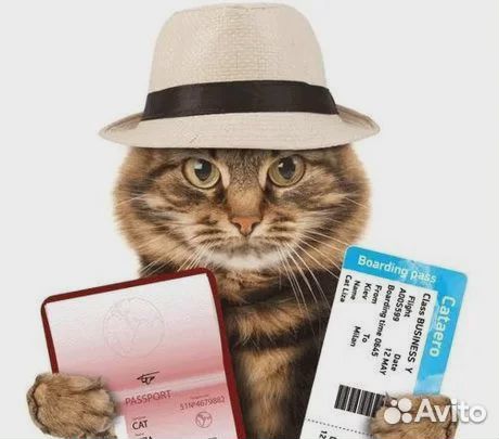 Ветеринарный паспорт животному