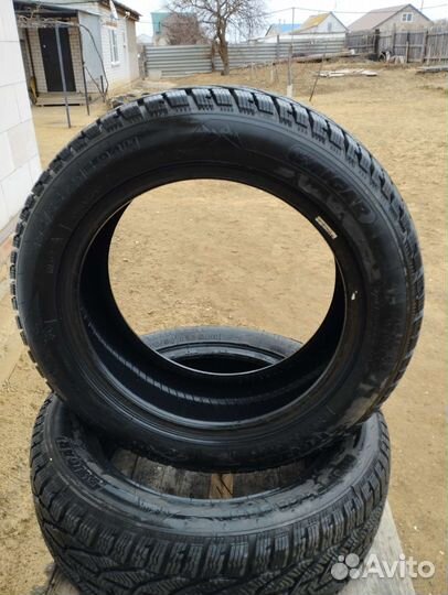 Tigar Winter 5.00/5 R16 36B