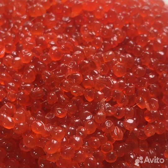 Икра Кеты Горбуши Чавычи Нерки Камчатка 2023г