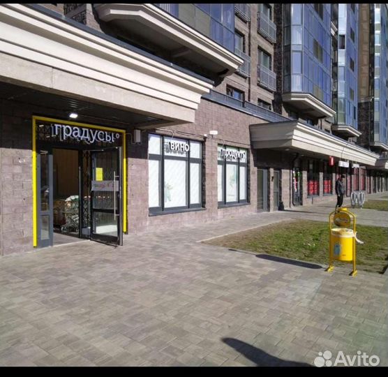 Старший кассир (Будапештская, 102)