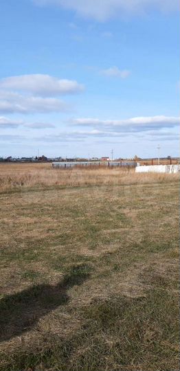 Участок 20 сот. (ИЖС)