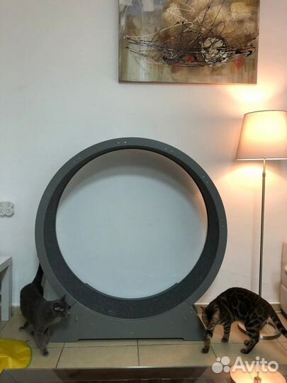 Беговое колесо