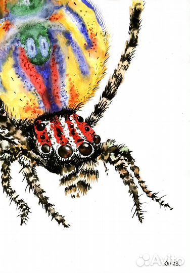 Портрет питомца акварелью на заказ