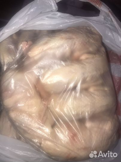 Мясо перепелов