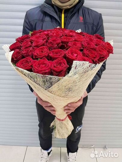 Высокие розы