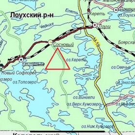 Месторождение золота россыпь 3 т и рудное 49 т