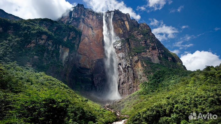 Путевка в Венесуэлу на 12 ночей