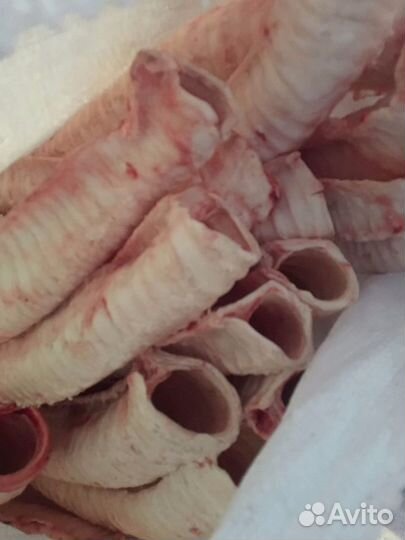 Натуральная еда для животных в Мурманске