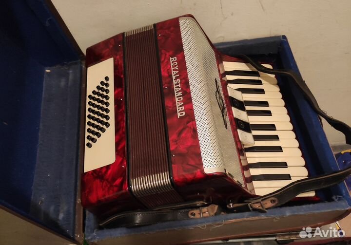 Аккордеон royalstsndart Германия