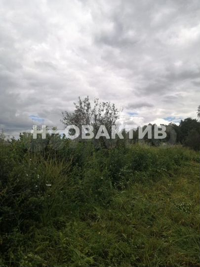 Участок 13,5 сот. (ИЖС)