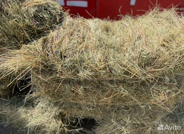 Сено и Опилки в тюках