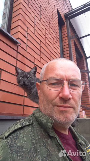 Кошка красавица подросток