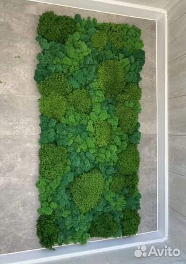 Мох яркий, сочный, кочки - премиум класс для деко
