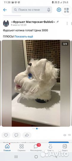 Фурсьют кота