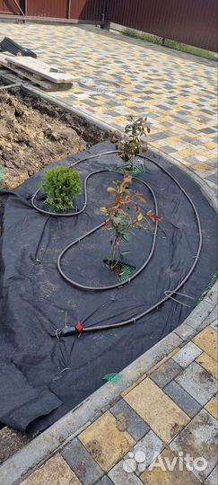 Система автополива