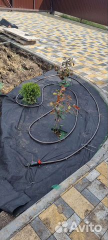 Система автополива