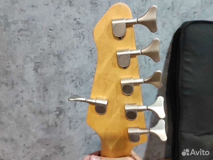 6-струнная бас-гитара Ashtone