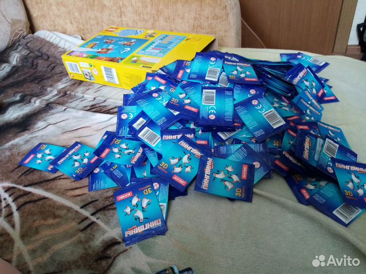 Пингвины мадагаскара