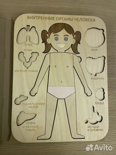 Деревянный пазл с органами little wooden world