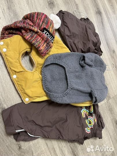 Одежда и обувь для собак