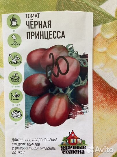 Рассада помидор