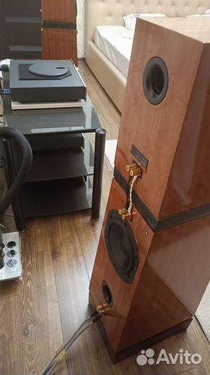 Verity Audio Parsifal