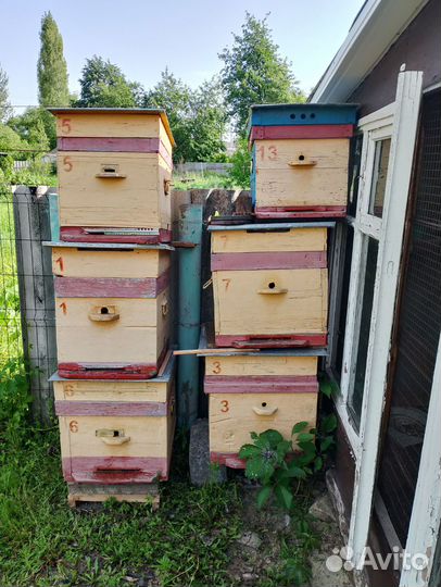 Улья дадан б/у