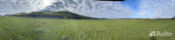 Готовый бизнес Животноводческая ферма